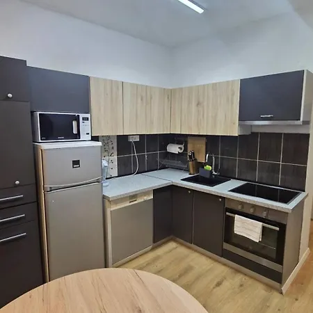 Apartment Diamond - 500 M From The Centar